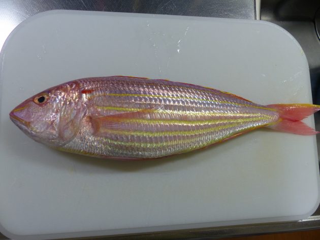 イトヨリダイ とっても美しい魚です 船橋市場 船橋市地方卸売市場